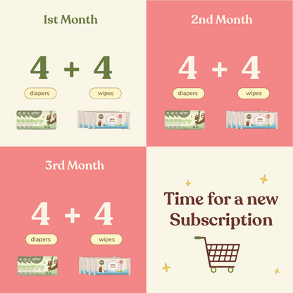 3 Month Subscription- Diaper Pants and Wet Wipes
