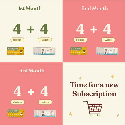 3 Month Subscription- Diaper and Wet Wipes